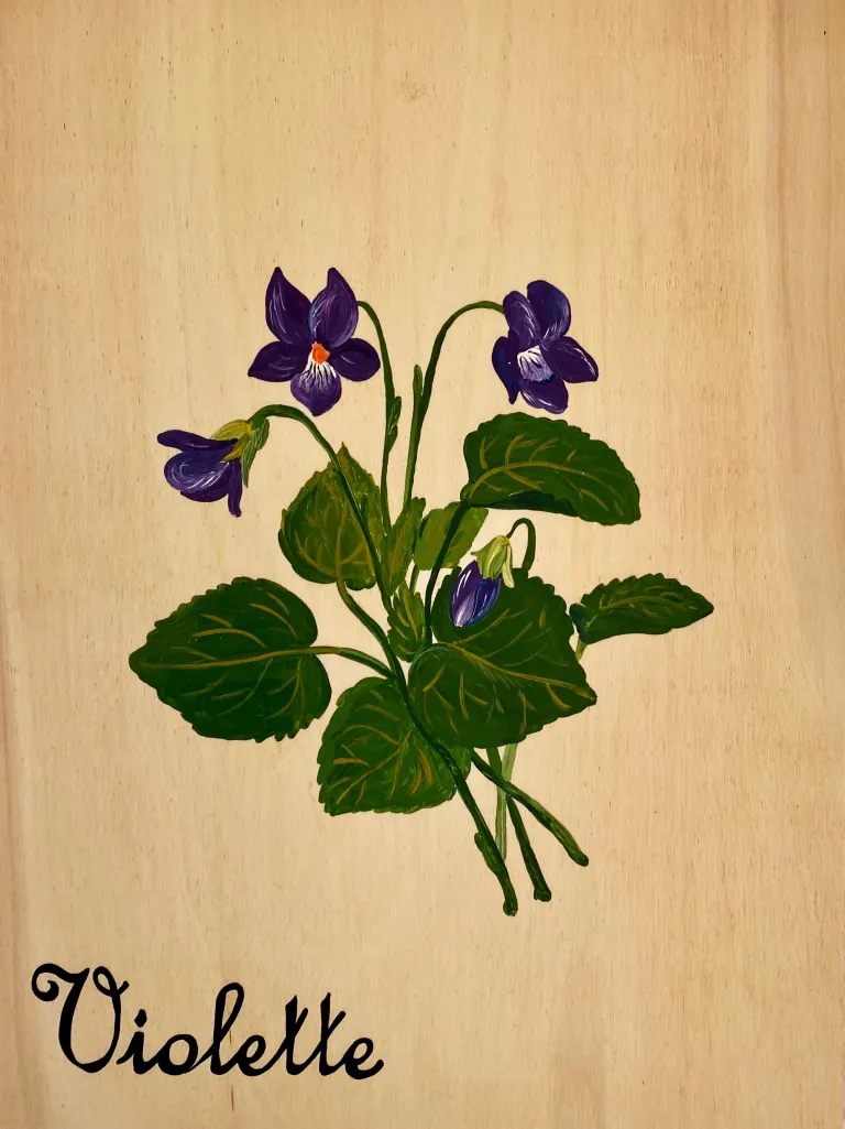 Violette, chambre-suite au Cras