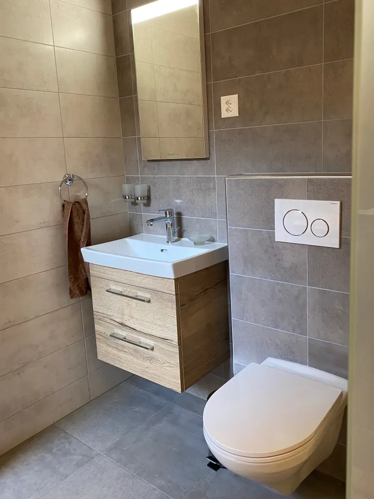 Lavabo, miroir et WC en détail